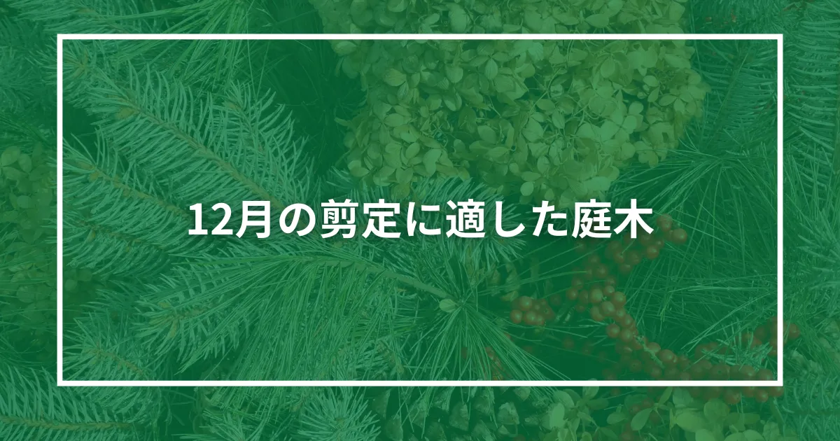 12月の剪定