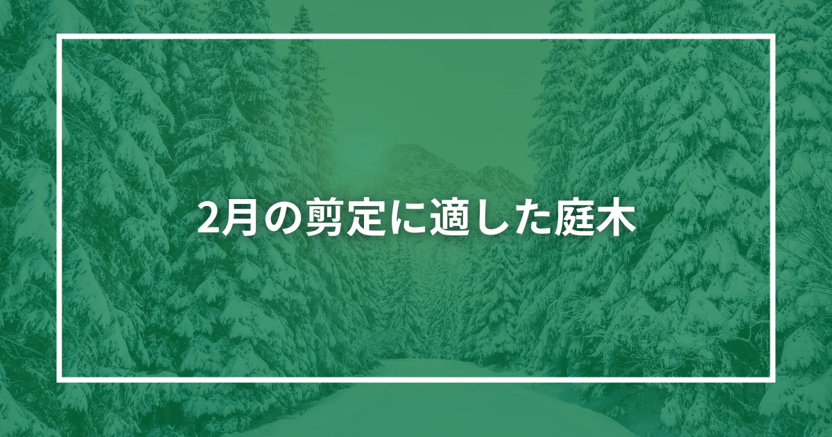 2月の剪定