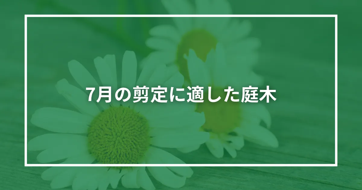 7月の剪定