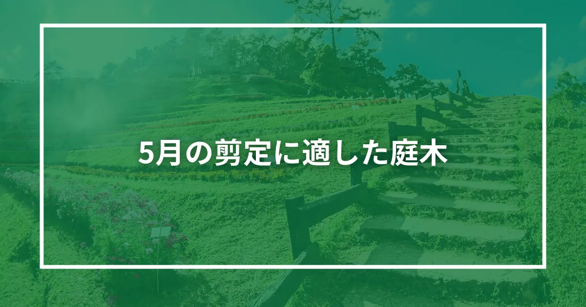 5月の剪定に適した庭木