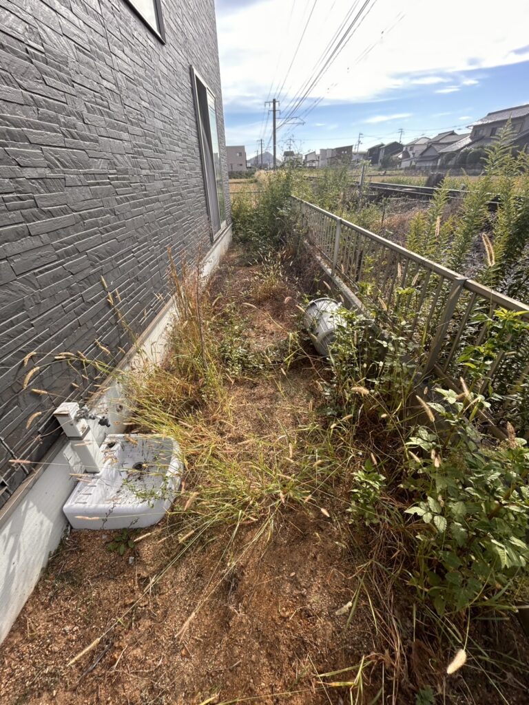 "香川県の住宅裏庭 雑草が生い茂った状態 Before"